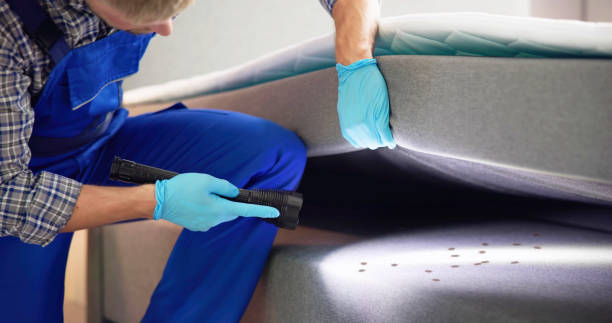Best Residential Pest Control  in Anthony, KS