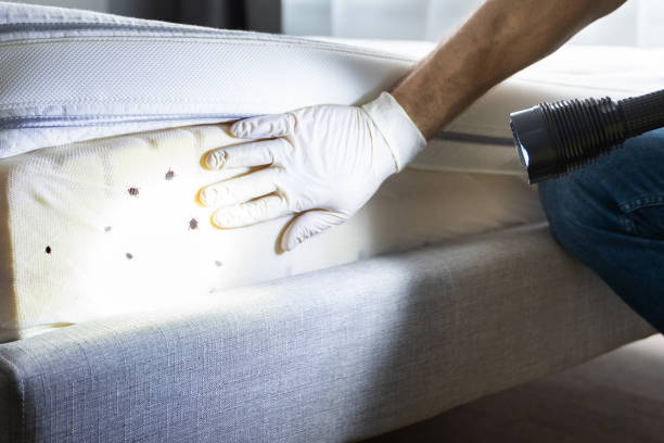 Best Commercial Pest Control Services  in Anthony, KS