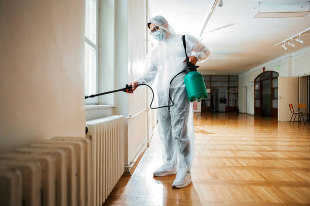 Best Ant Control Services  in Anthony, KS
