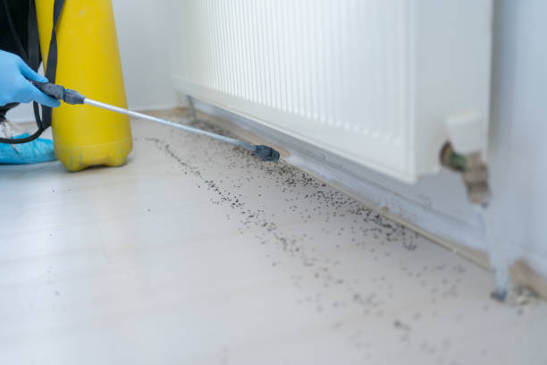 Best Bed Bug Extermination  in Anthony, KS