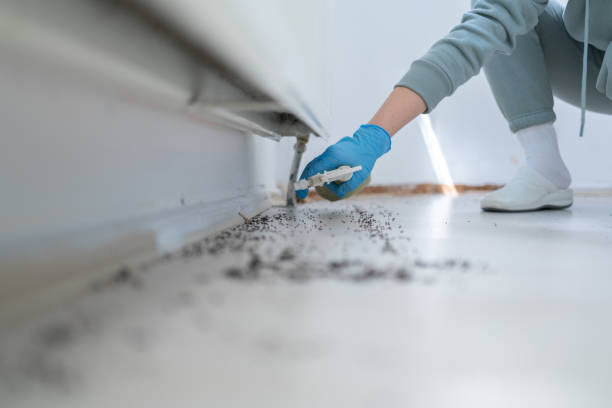 Best Pest Control Treatment  in Anthony, KS