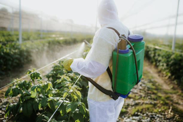 Best Residential Pest Control  in Anthony, KS